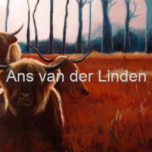 Scottish highlanders