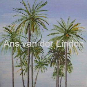 Palmeras